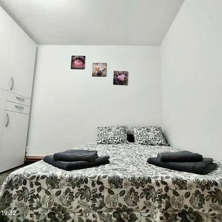 Lavanda Studio براشوف المظهر الخارجي الصورة